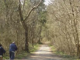 فندق Metropole كونْديت